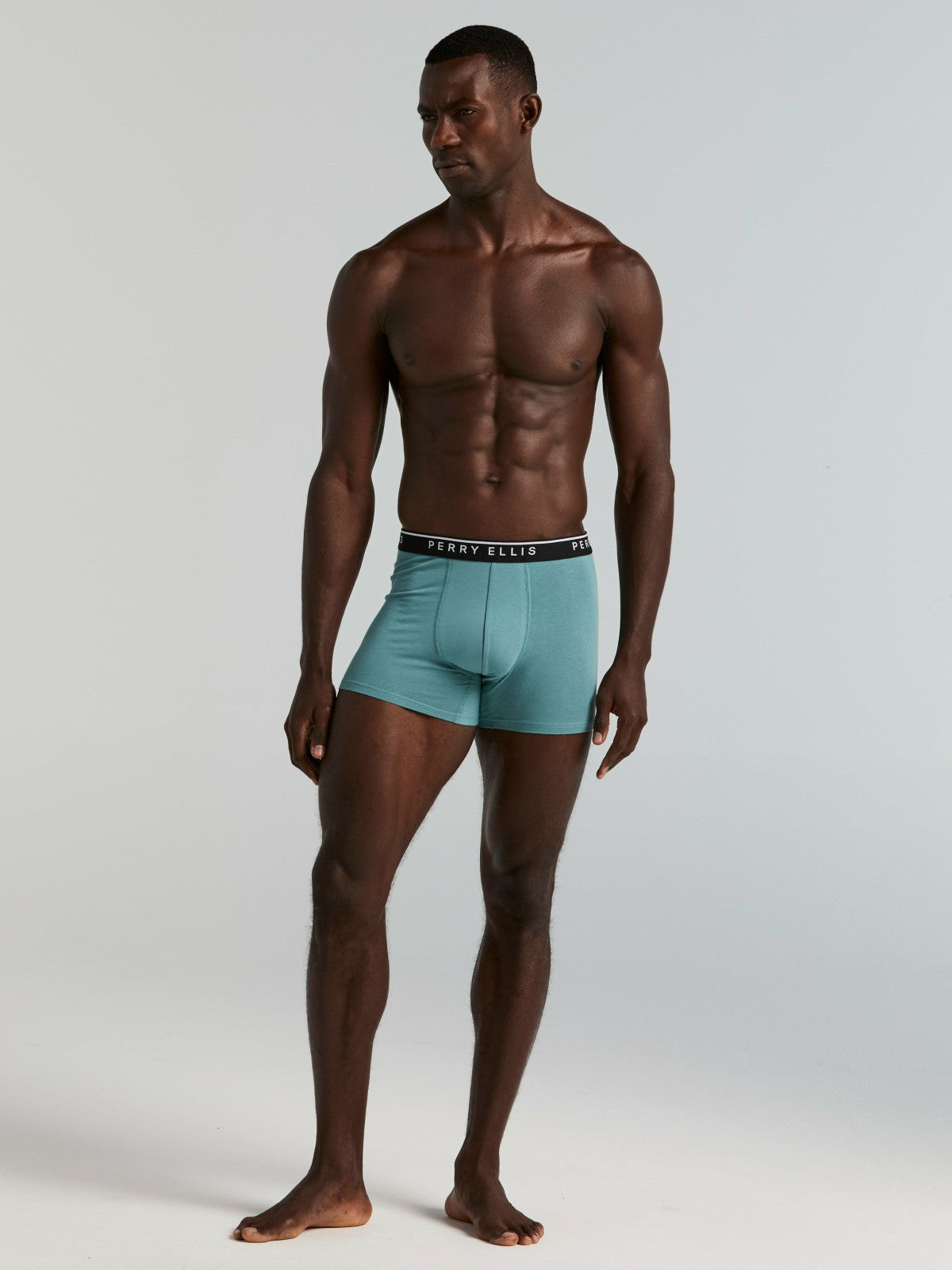 Perry Ellis 4-Pack Cotton Stretch Boxer Brief