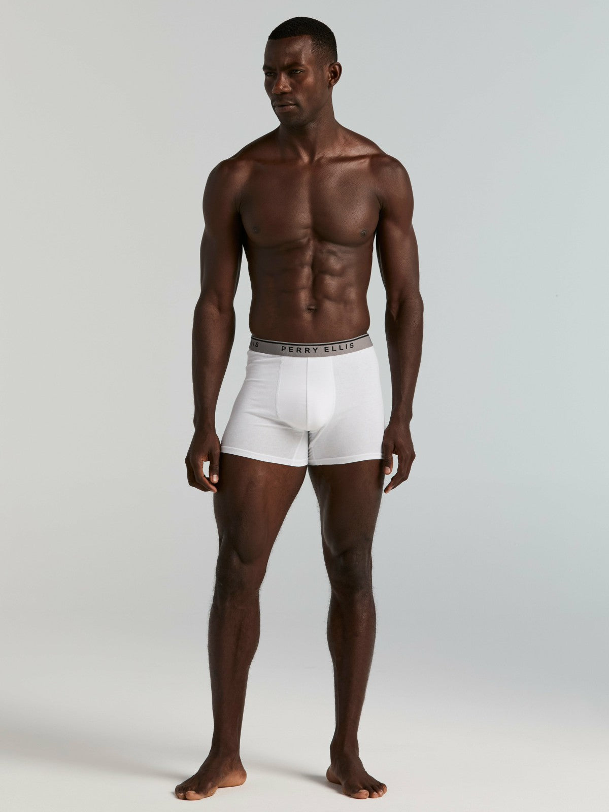 Perry Ellis 4-Pack Cotton Stretch Boxer Brief